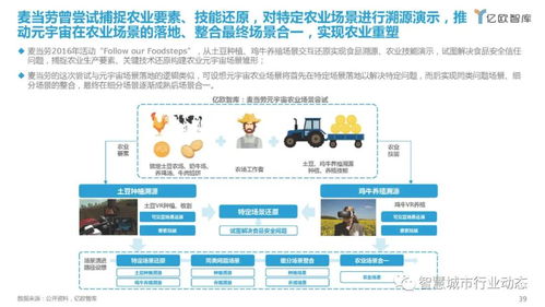 元宇宙产业图谱 应用场景、企业榜单及互联网接入服务全景解读